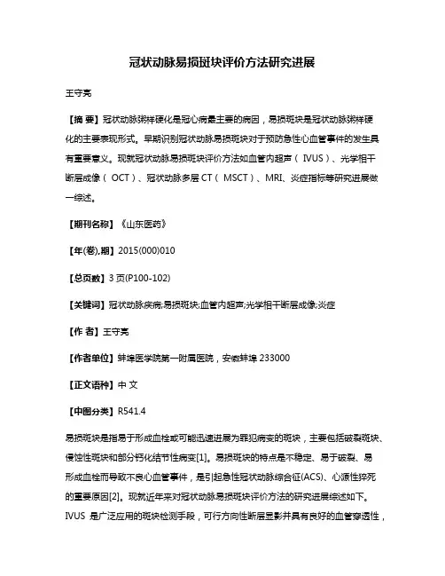 冠状动脉易损斑块评价方法研究进展