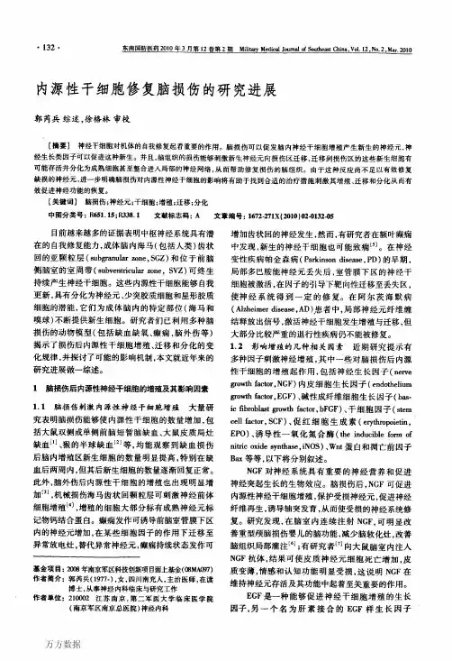 内源性干细胞修复脑损伤的研究进展