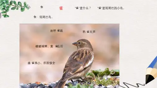 六年级语文上册第四单元隔窗看雀课件1湘教版