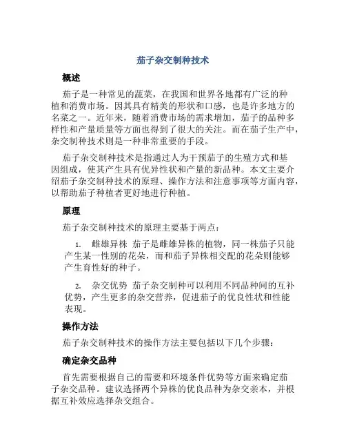 茄子杂交制种技术