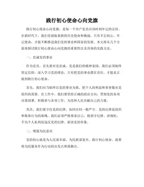践行初心使命心向党旗