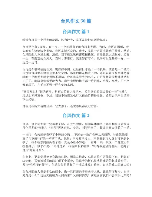 台风作文30篇