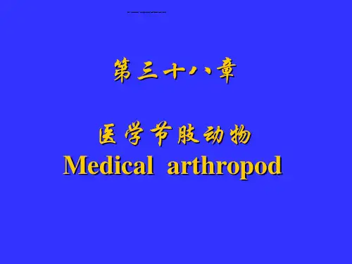 怎么让多页PDF内容在一张纸上打印