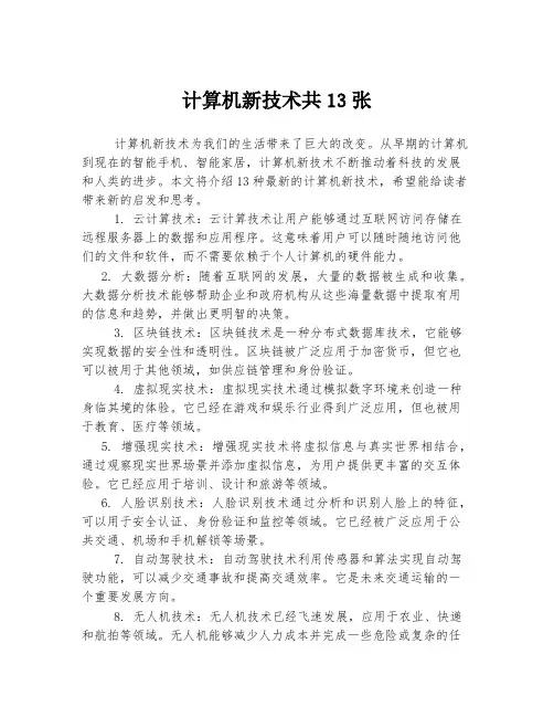 计算机新技术共13张