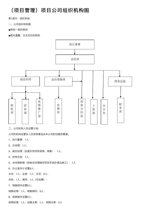 （项目管理）项目公司组织机构图
