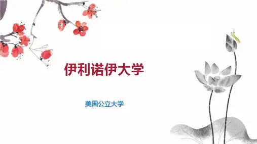 伊利诺伊大学