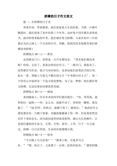 拼搏的日子作文范文