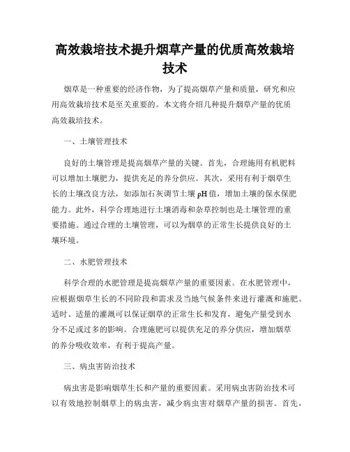 高效栽培技术提升烟草产量的优质高效栽培技术