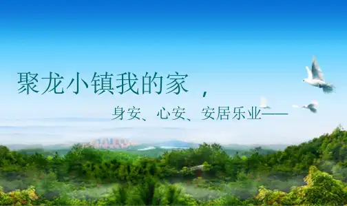 聚龙小镇整合推广策略方案  69P