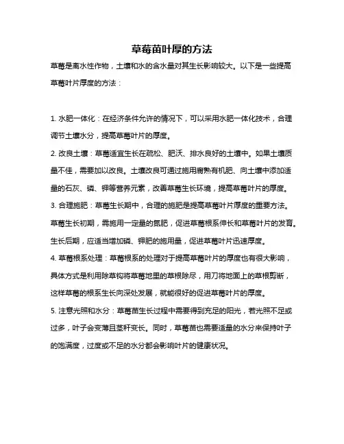 草莓苗叶厚的方法