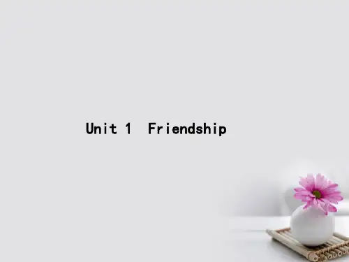 高考英语一轮复习 Unit 1 Friendship课件 新人教版必修1