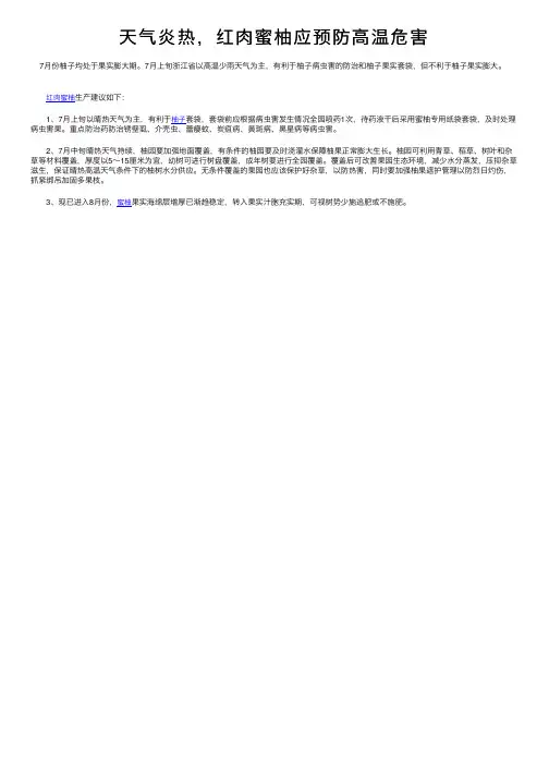 天气炎热，红肉蜜柚应预防高温危害