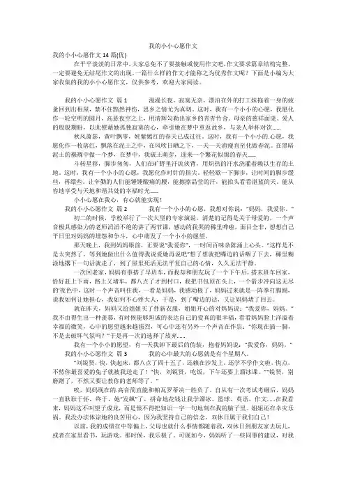 我的小小心愿作文_1