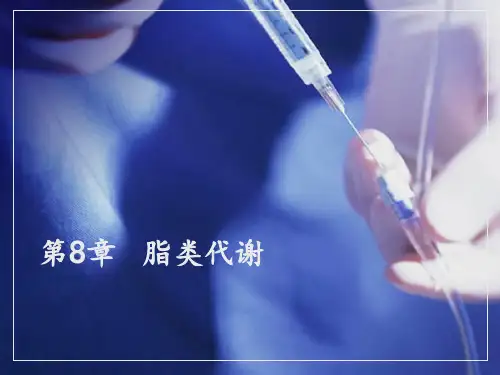 中职生物化学课件第8章