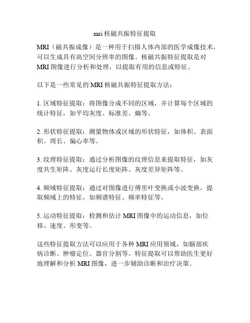 mri核磁共振特征提取