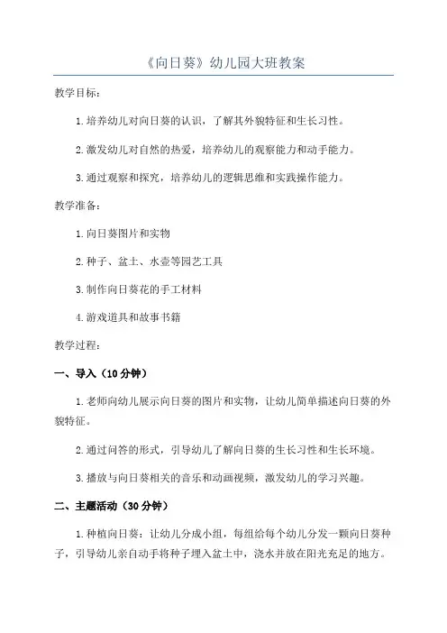 《向日葵》幼儿园大班教案
