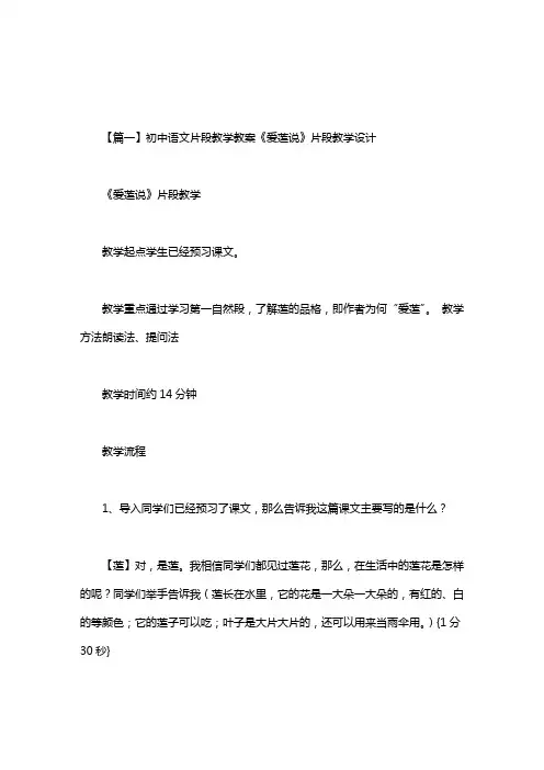 初中语文片段教学教案