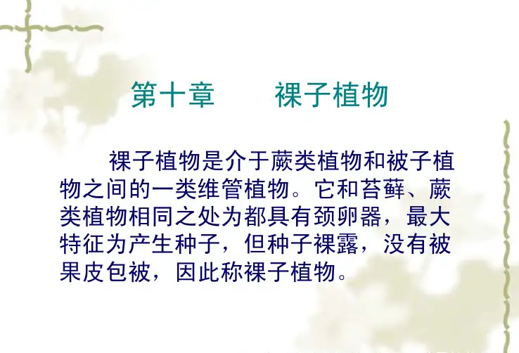 浙中大药用植物学课件10裸子植物