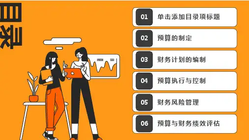 预算与财务计划