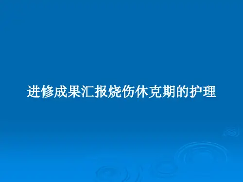 进修成果汇报烧伤休克期的护理PPT教案