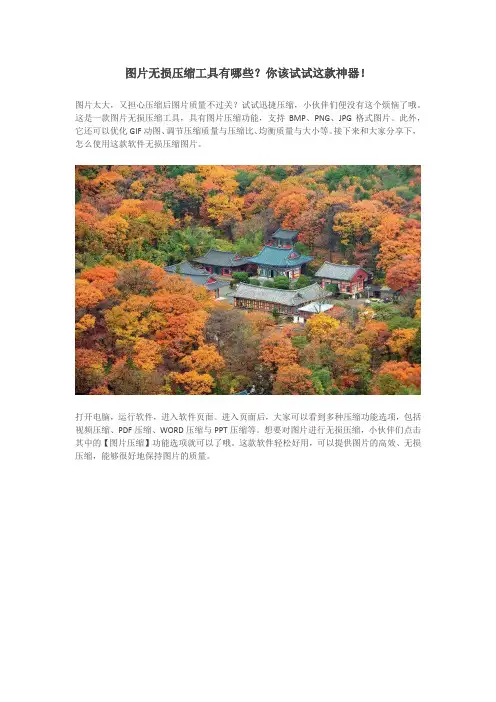 图片无损压缩工具有哪些？你该试试这款神器!
