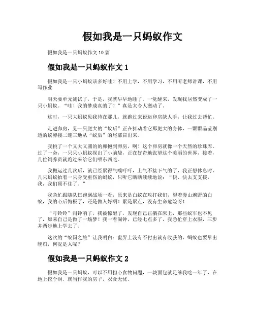 假如我是一只蚂蚁作文