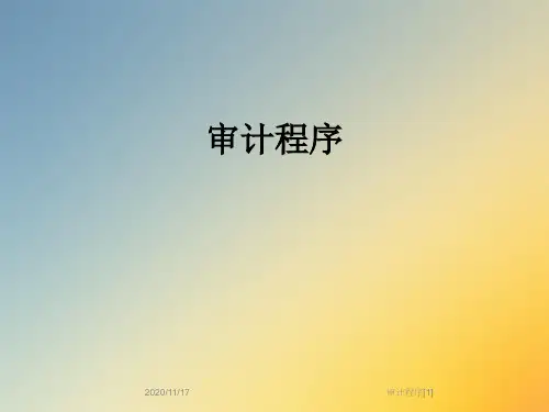 审计程序[1]