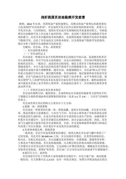 浅析我国页岩油勘探开发前景