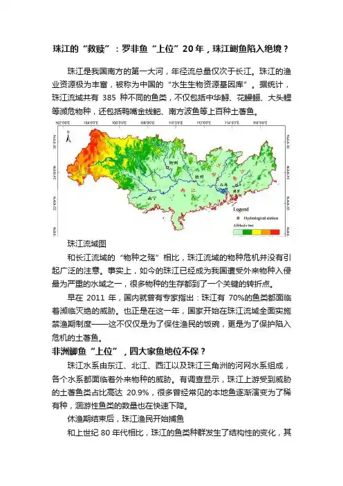 珠江的“救赎”：罗非鱼“上位”20年，珠江鲥鱼陷入绝境？