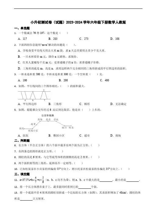 小升初测试卷(试题)六年级下册数学(含答案)