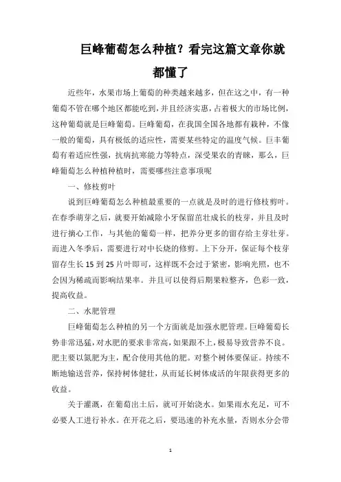 巨峰葡萄怎么种植？看完这篇文章你就都懂了