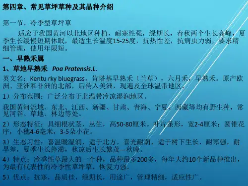 【草坪学】第四章、常见草坪草种及其