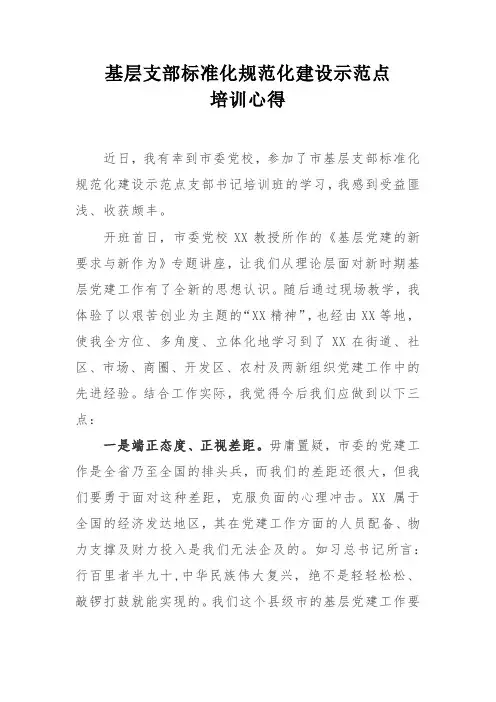 基层支部标准化规范化建设示范点培训心得