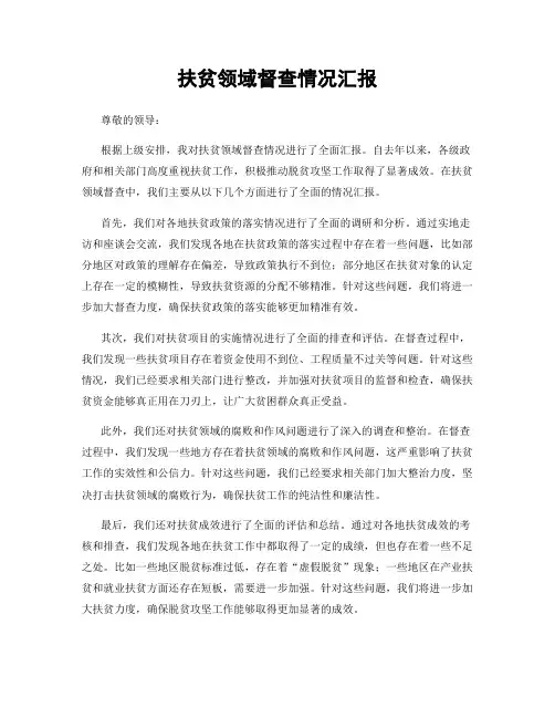 扶贫领域督查情况汇报