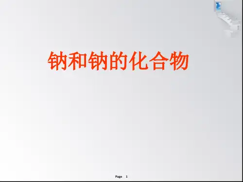 钠和钠的化合物(知识点齐全)