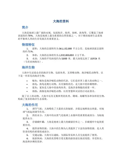 大海的资料