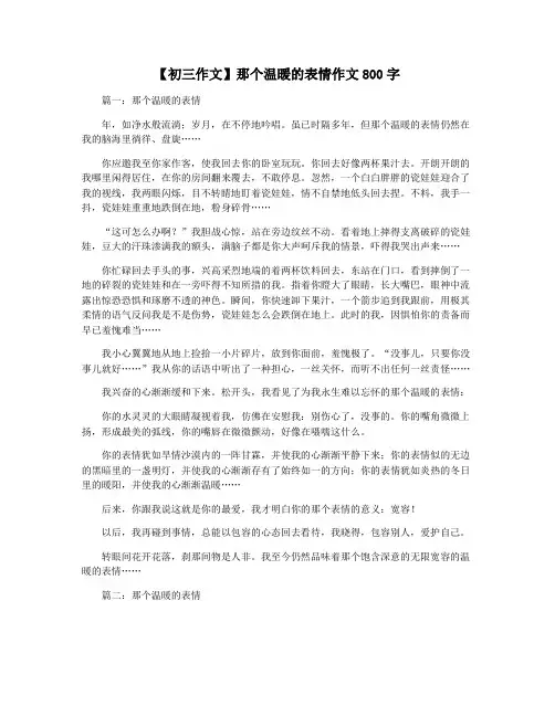 【初三作文】那个温暖的表情作文800字