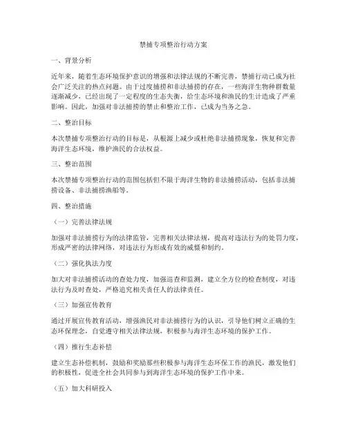 禁捕专项整治行动方案