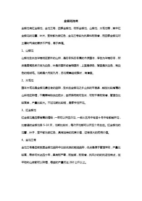 金银花种类