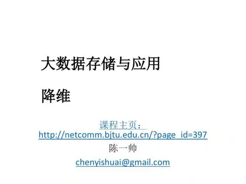 大数据存储与处理概述(PPT 45张)