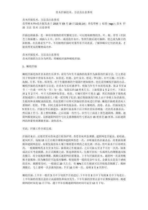 苗木扦插技术、方法及注意事项