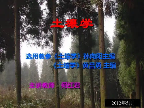土壤剖面课件