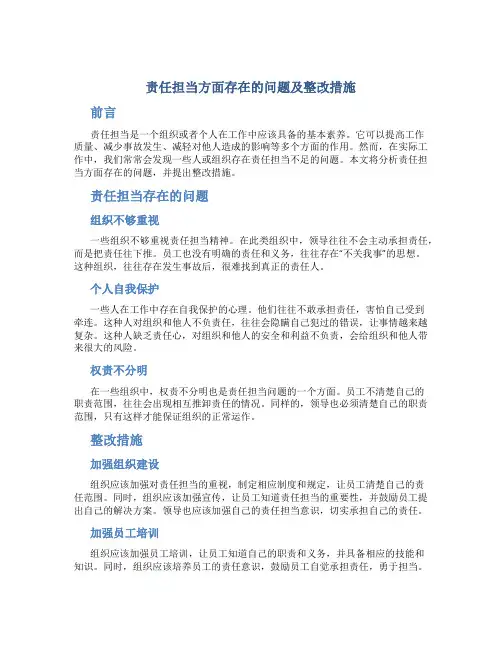 责任担当方面存在的问题及整改措施