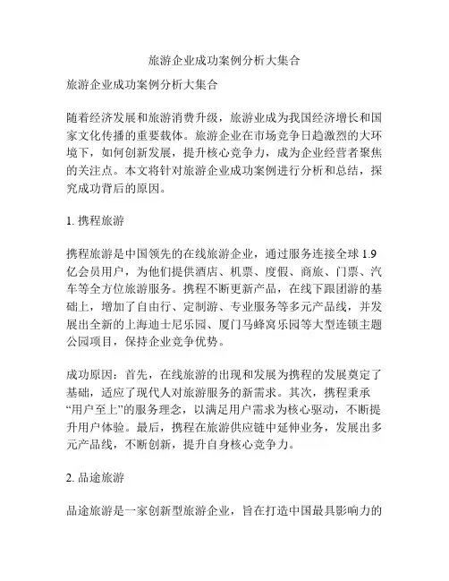 旅游企业成功案例分析大集合