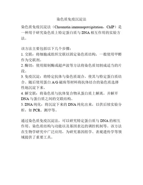 染色质免疫沉淀法