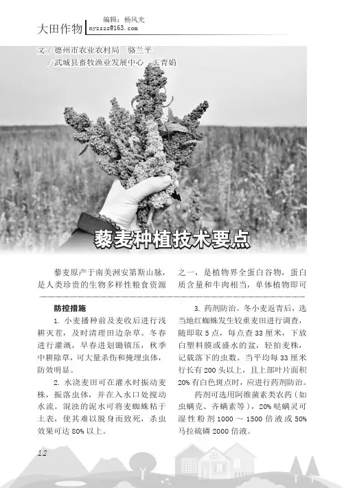 藜麦种植技术要点
