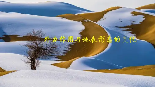 高考复习《地理》外力作用与地表形态的变化