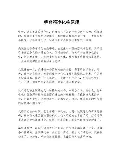 手套箱净化柱原理