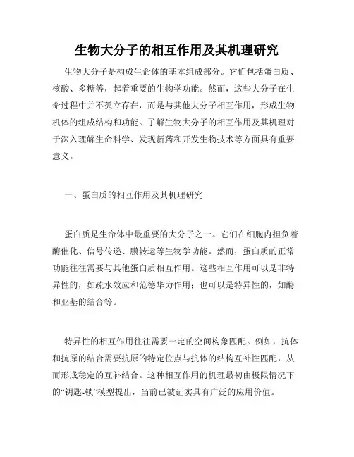 生物大分子的相互作用及其机理研究