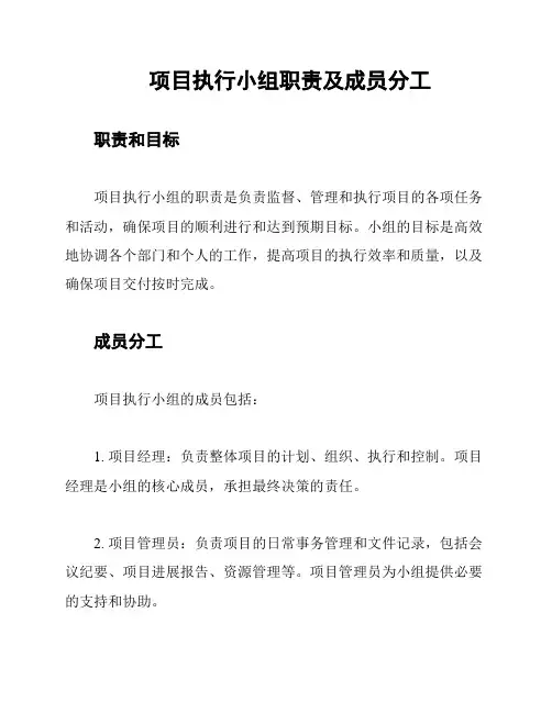 项目执行小组职责及成员分工